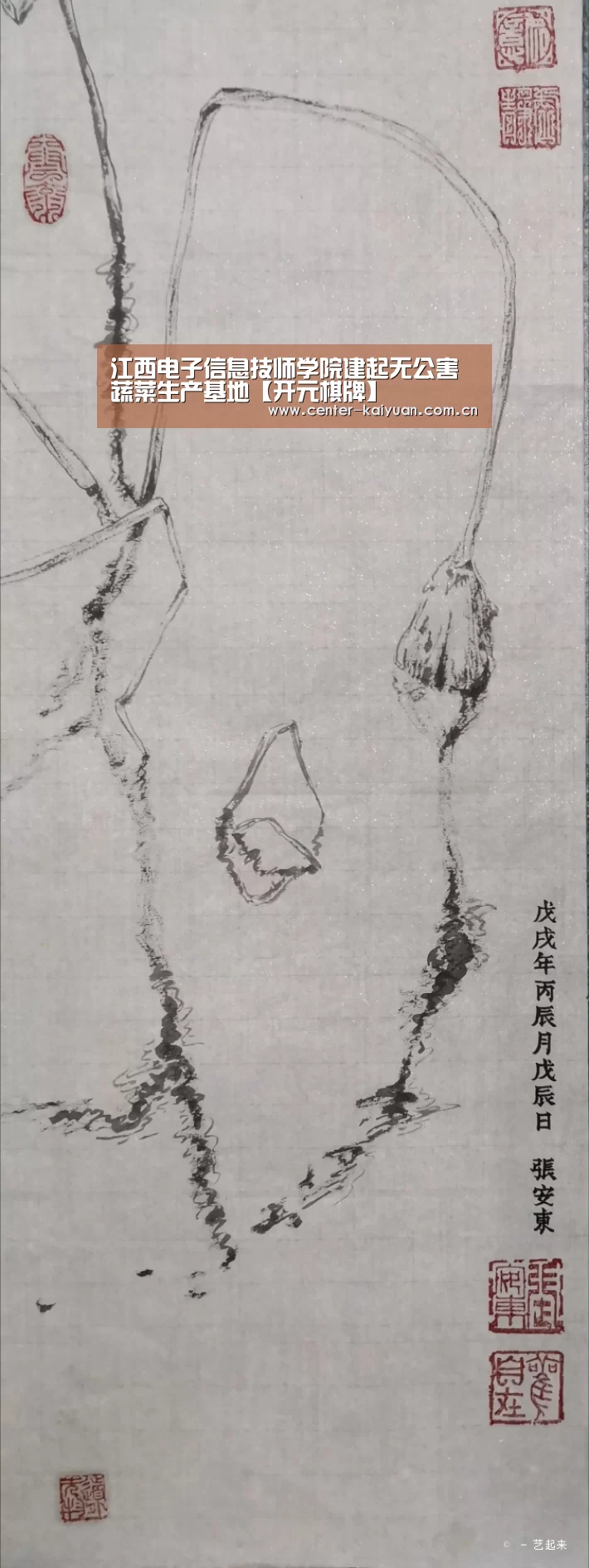江西电子信息技师学院建起无公害蔬菜生产基地【开元棋牌】(图3) 开元棋牌