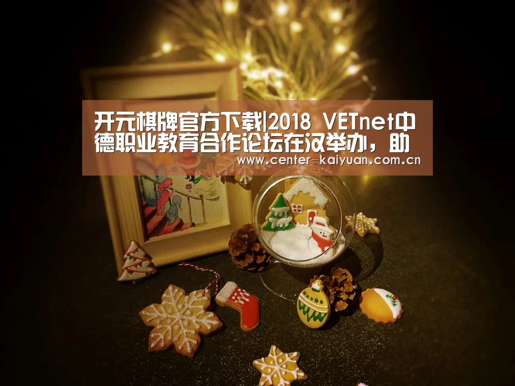 开元棋牌官方下载|2018 VETnet中德职业教育合作论坛在汉举办,助力湖北职业教育发展与改革(图1) 开元棋牌app