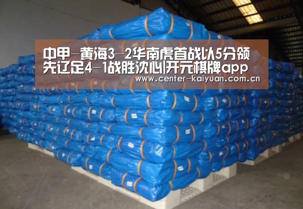 开云体育中国官网